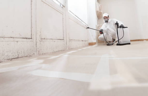 24/7 Emergency Attic Mold Remediation experts in Snow Camp, NC