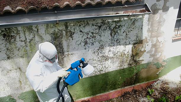 Top rated local Attic Mold Remediation specialists in Snow Camp, NC